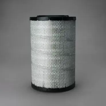 Preț mic Filtru Aer Donaldson P782596