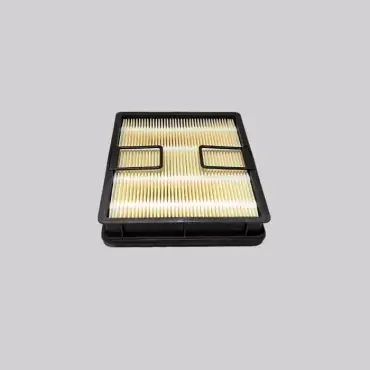 Comandă acum Filtru Aer Donaldson P638062