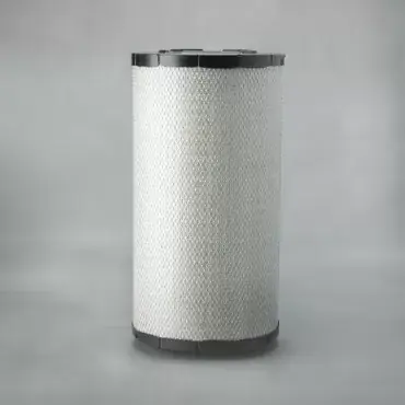 Comandă acum Filtru Aer Donaldson P782106