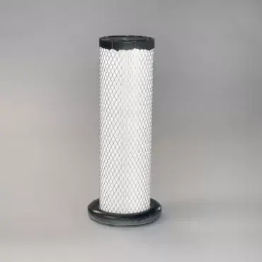 Plată securizată Filtru Aer Donaldson P629469
