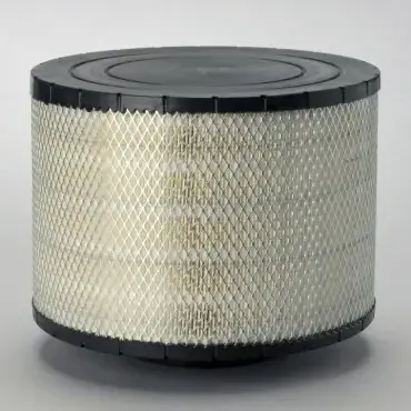 Premium Filtru aer Principal Duralite Donaldson B125005