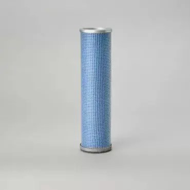 Filtru Aer Donaldson P181208 Transport gratuit