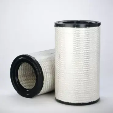 Filtru Aer Donaldson P781098 Plată sigură