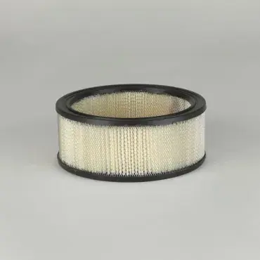 Filtru aer Principal Cilindric Donaldson P524350 Plată securizată