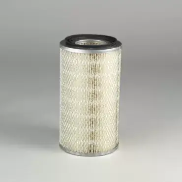 Filtru Aer Donaldson P181163 Cumpără online