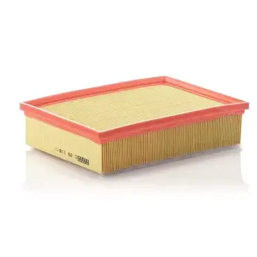 Ofertă exclusivă Filtru aer C 25 118/1 Mann Filter