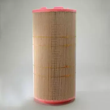 Ofertă exclusivă Filtru Aer Donaldson P618930