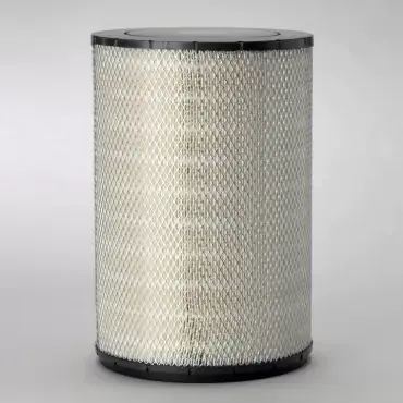 Reducere specială Filtru Aer Donaldson P181102