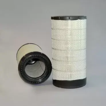 Plată sigură Filtru Aer Donaldson P617643