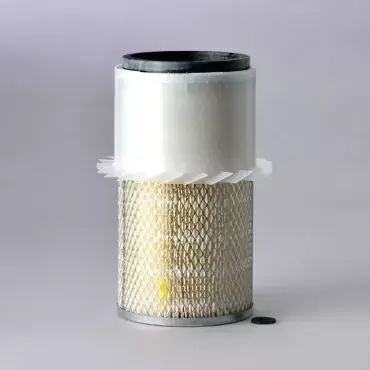 Filtru Aer Donaldson P181093 Reducere extra