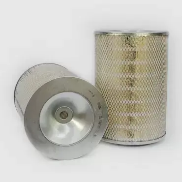 Cumpărături sigure Filtru Aer Donaldson P181080