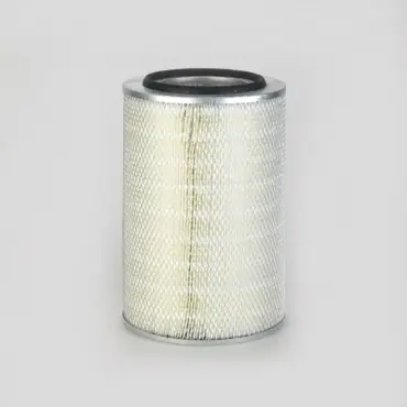 Retur ușor Filtru Aer Donaldson P778441