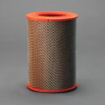 Retur ușor Filtru Aer Donaldson P606952