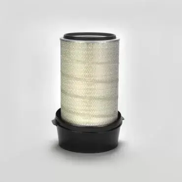 Filtru Aer Donaldson P953697 Ofertă de sezon