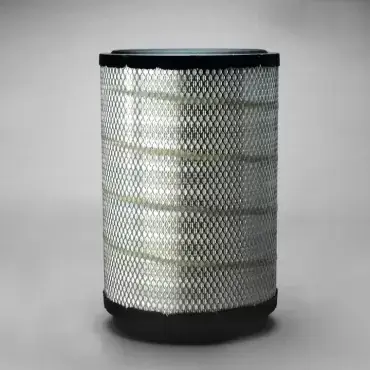 Ultima șansă Filtru Aer Donaldson P606503