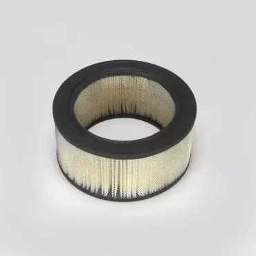 Filtru Aer Donaldson P606279 Ofertă specială