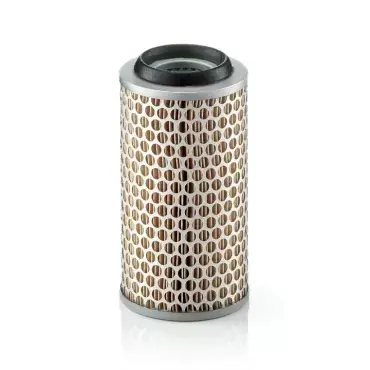 Filtru aer C 1043/1 Mann Filter Reduceri