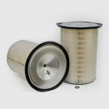 Filtru Aer Donaldson P145702 Ofertă exclusivă