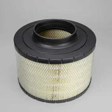 Filtru aer Principal Duralite Donaldson B120572 Discount