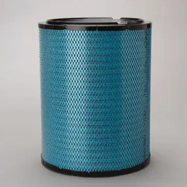 Preț redus Filtru aer Principal Radialseal Donaldson Blue Donaldson DBA5219