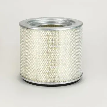 Filtru aer Principal Cilindric Donaldson P119595 Popular