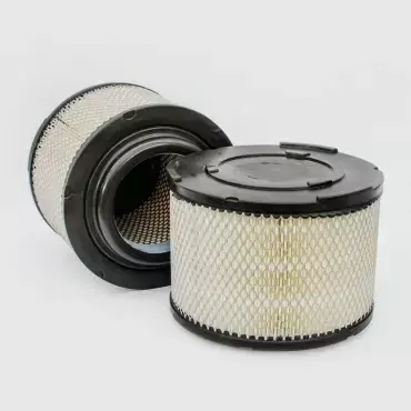 Cel mai bun preț Filtru Aer Donaldson P902609