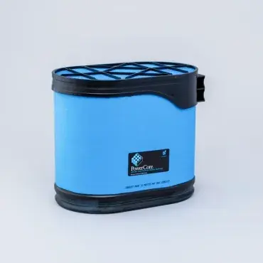 Filtru aer Principal Powercore Donaldson Blue Donaldson DBA5397 Plată securizată