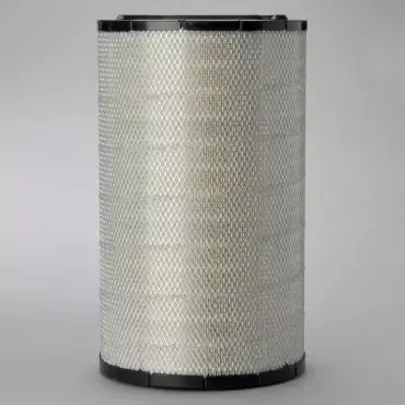 Cel mai bun preț Filtru Aer Donaldson P548900