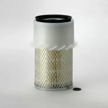 Cumpărături sigure Filtru Aer Donaldson P136258