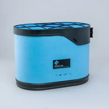 Bestseller Filtru aer Principal Powercore Donaldson Blue Donaldson DBA5400