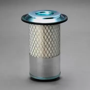 Filtru Aer Donaldson P546641 Cel mai vândut