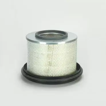 Retur ușor Filtru Aer Donaldson P776386
