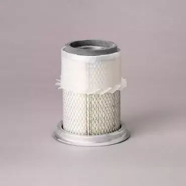 Filtru Aer Donaldson P776360 Promoție