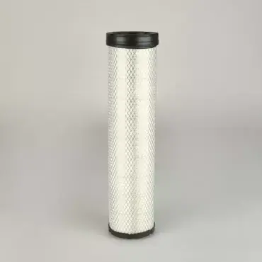 Cumpără acum Filtru Aer Donaldson P538393