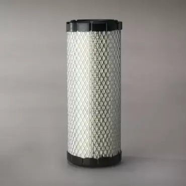 Cel mai vândut Filtru Aer Donaldson P821575