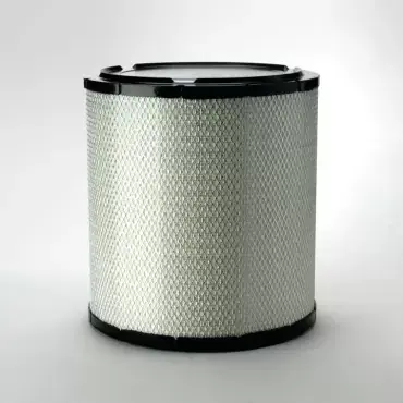 Filtru Aer Donaldson P538007 Bestseller