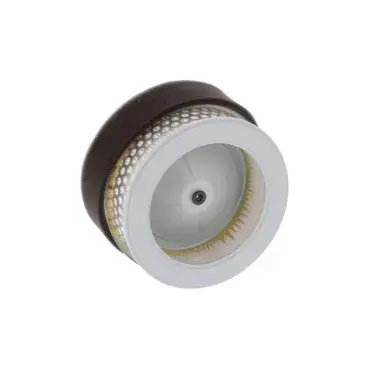 Doar azi Filtru aer FAR9599