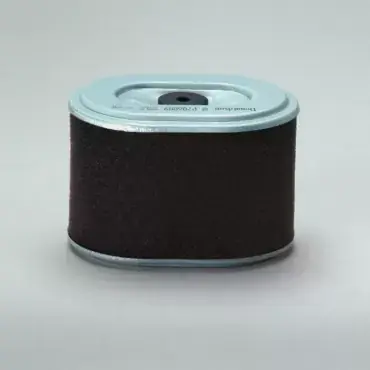 Plată securizată Filtru Aer Donaldson P786889