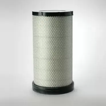 Filtru Aer Donaldson P532510 Ofertă de sezon