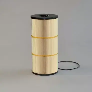 Filtru Combustibil Donaldson P502479 Livrare rapidă
