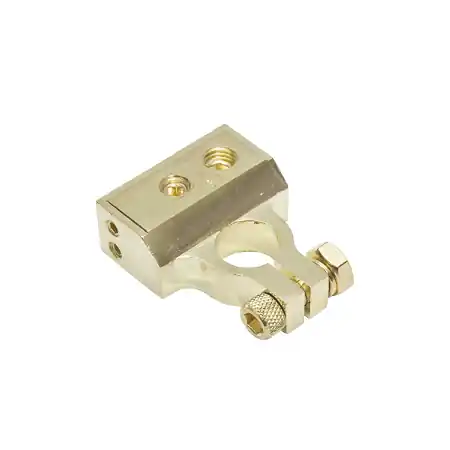 Cumpărături sigure Terminal, borna baterie pozitiv 18mm cu capac transparent