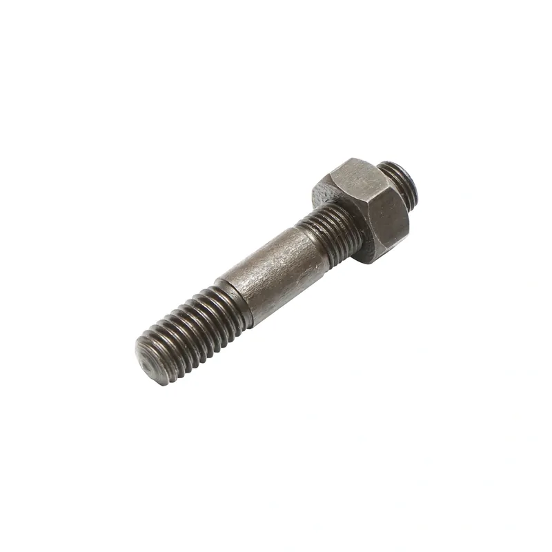 Prezon injector M10x1 Livrare expres