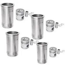 Set motor as. U-650 – import Doar azi