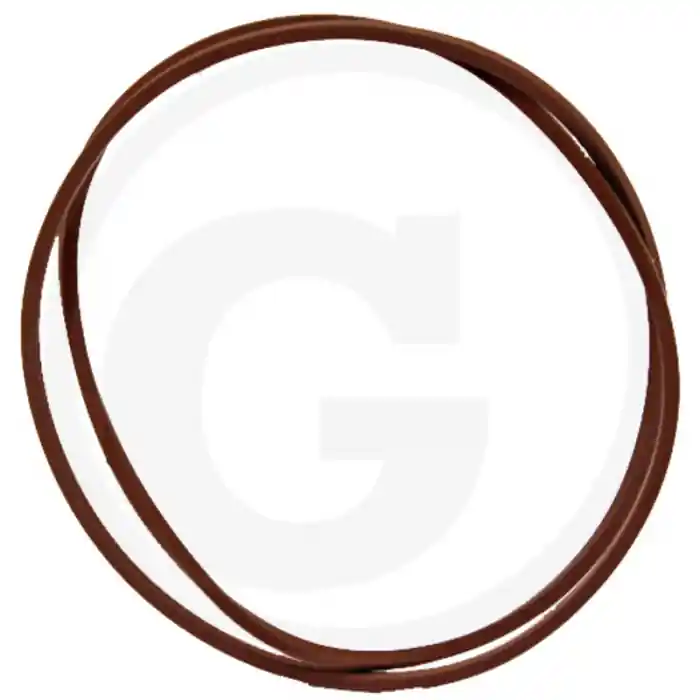 Vezi acum O-ring piston frana Fiat, New Holland * 259.6 X 266 X 3.4 MM
